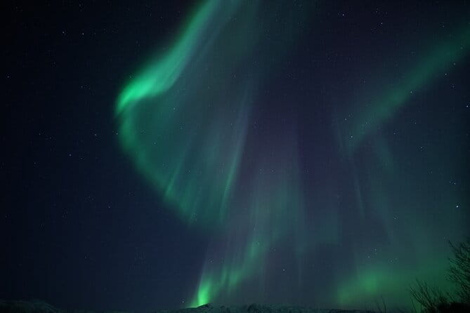 Tromsø: Evening Cruise with Northern Lights Opportunity - Who This Tour Is Best Suited For