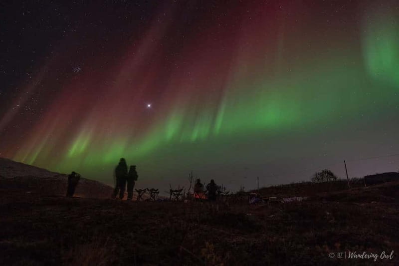 Tromsø: Express Aurora Hunt - The Value for Your Money