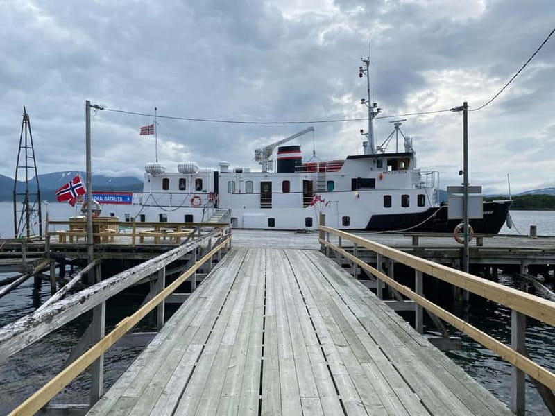 Tromsø: Fjord Cruise Around The Islands & Archipelago - Who Will Love This Tour?