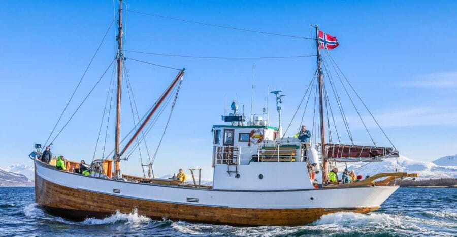 Tromsø: Fjord History Cruise with Snack and Drinks - Scenic Routes and Arctic Views