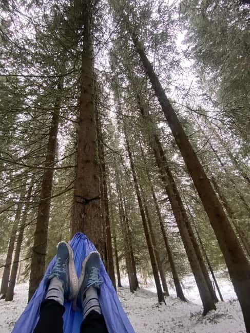 Tromsø: Forest escape adventure - Frequently Asked Questions