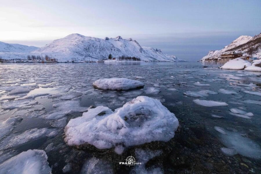 Tromso: Guided Fjord Expedition in Kvaløya with Light Lunch - The Kvaløya Viewpoint: First Impressions of Fjord Grandeur