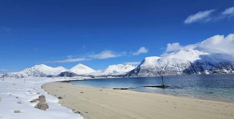 Tromsø: Kvaløya and Sommarøy Guided Tour with Lunch - The Itinerary: What to Expect at Each Stop