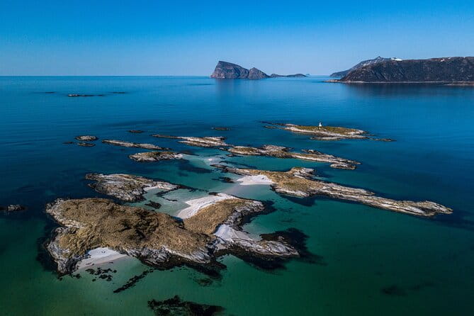 Tromsø: Kvaløya & Sommarøy Guided Tour - Wildlife Encounters and Arctic Birds