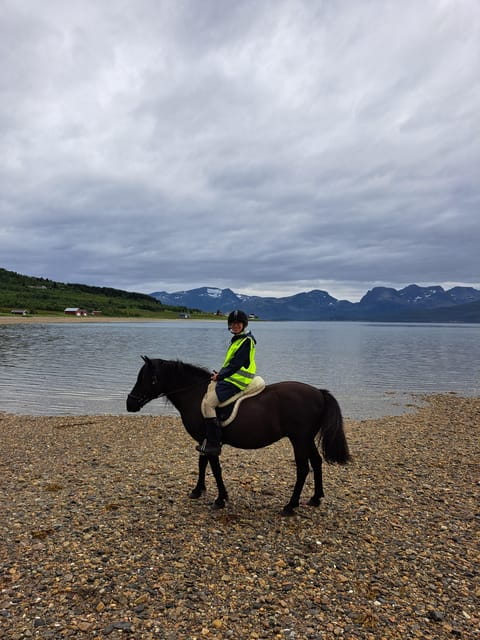 Tromsø: Lyngen Horse Summer Riding Experience - What Happens When You Arrive and First Meet the Horses