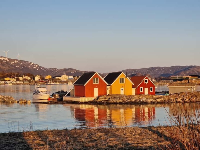Tromsø: Midnight Sun Adventure with Lunch and Photos - Who Will Love This Tour?