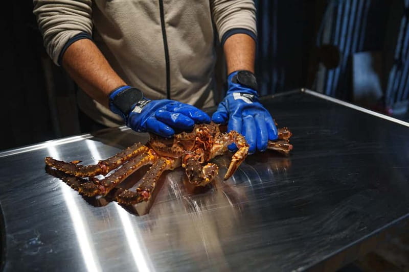 Tromsø: Northern Lights Live King Crab Dinner by the Sea - Who Will Love This Experience?