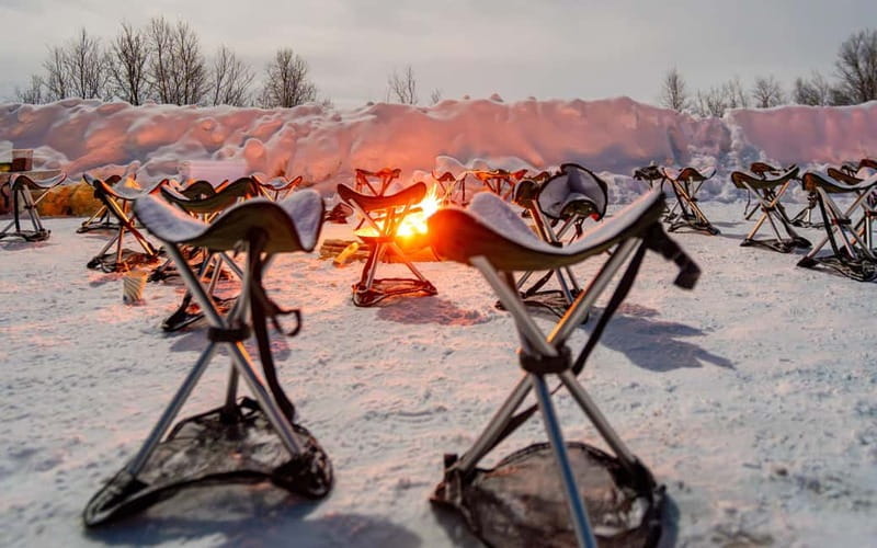 Tromsø: Northern Lights Safari - Transportation and Comfort