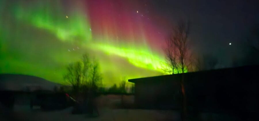 Tromsø: Northern Lights Tour with Campfire - What Makes This Tour Stand Out?