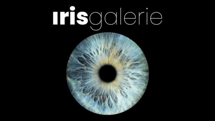 Tromsø: Reveal Your Eye Experience at the Iris Galerie - Pricing and Value: A Fair Deal for a Unique Keepsake