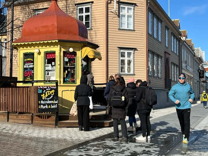 Tromsø: The Arctic Run - Running Tour with local stories - The Route: From City Streets to Fjord Views