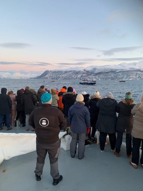 Tromsø Whale Safari with MS Keiser Wilhelm - The Itinerary: What You Can Expect