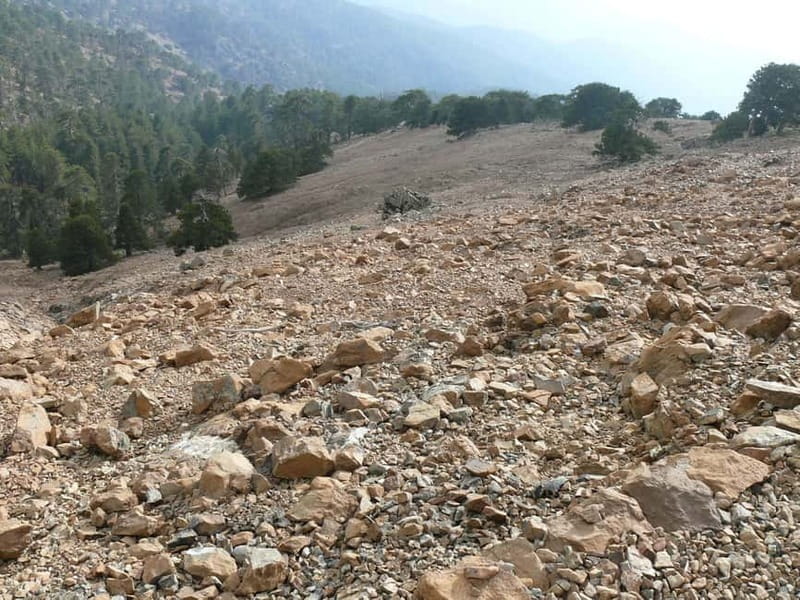 Troodos walking trip - Who Will Love This Tour?