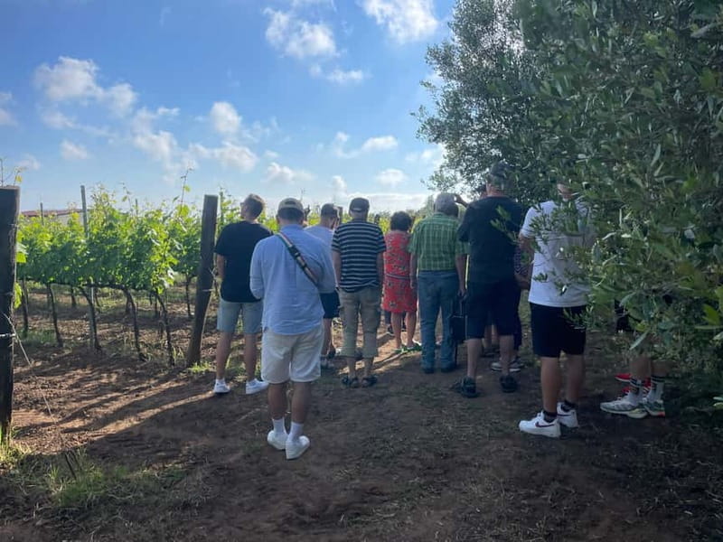 Tropea: Rustic Wine Experience on a Family Farm in Calabria - Final Thoughts