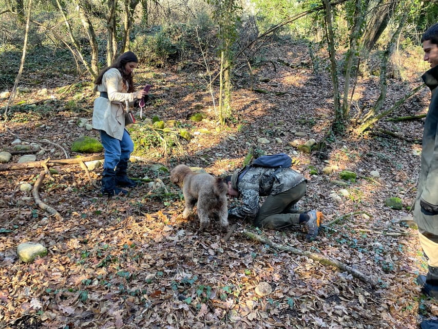 Truffle hunting in Chianti with pasta cooking class & lunch - Who Should Consider This Tour?
