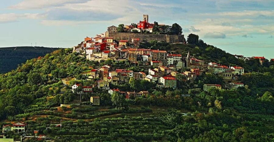 Truffle hunting in Istria private experience - The Sum Up: Who Is This Tour Perfect For?