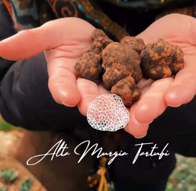 Truffle hunting with tasting in Alta Murgia - Exploring Alta Murgia Tartufi: An In-Depth Look