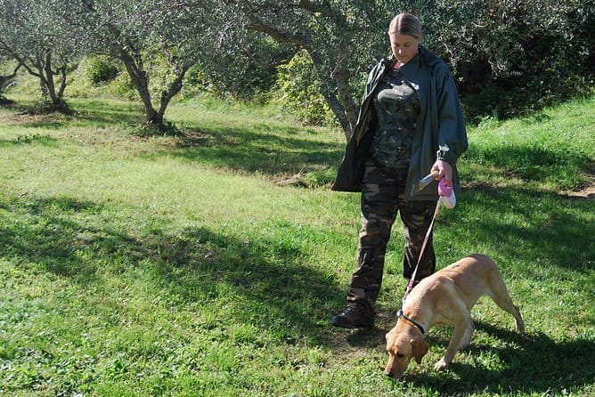 TRUFFLES: Hunting & Tasting in Istria, Slovenia - Practical Details & Logistics