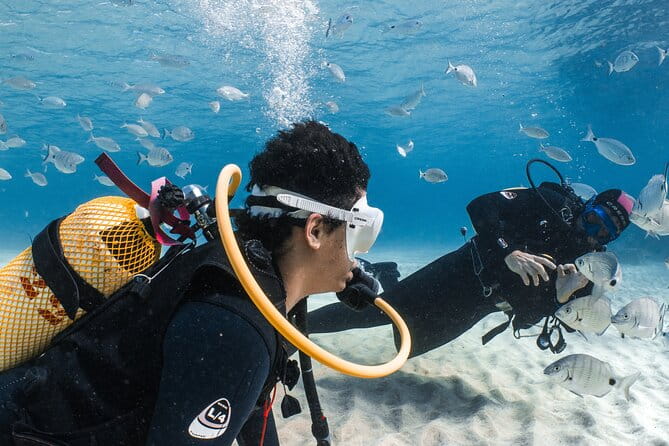 Try Scuba Diving | 1 dive - Why This Tour Offers Real Value for Your Money