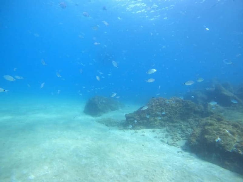 TRY SCUBA - Experience for beginners - What to Expect: Step-by-Step Breakdown of the Experience