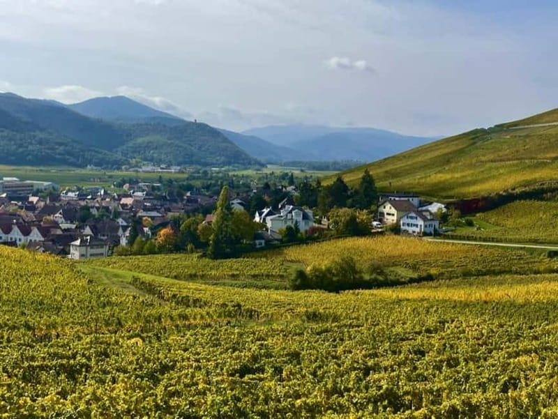 Turckheim: the town where the dragon sleeps, walking tour - Price and Logistics