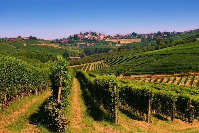 Turin: Langhe Wine Tour with Private Transfers and Lunch - A Deep Dive into the Langhe Wine Tour: What to Expect from Start to Finish