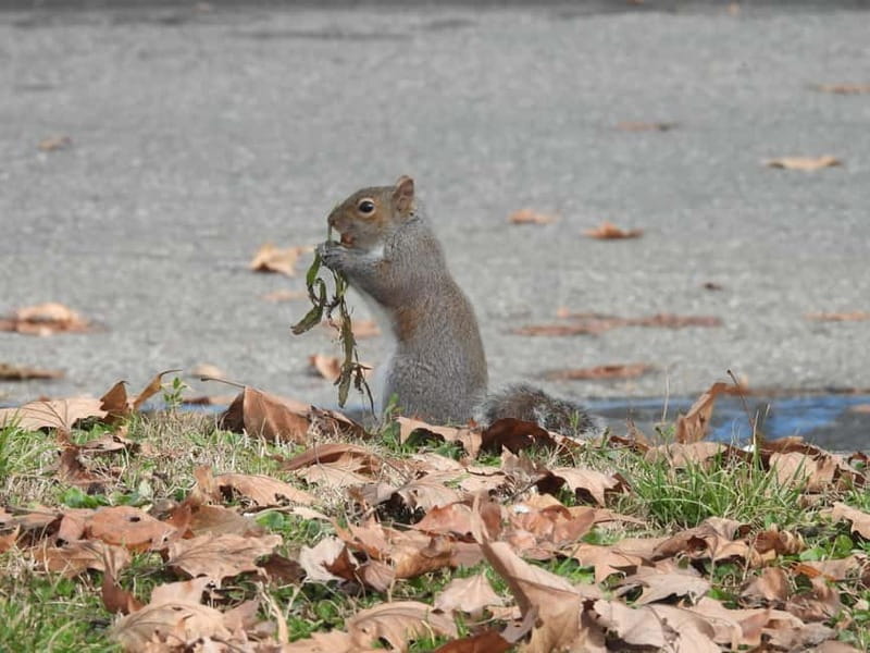 Turin: tour of the Savoy capital as seen from the parks - Who Will Love This Tour?