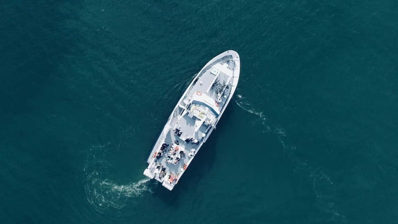 Turku: Full-Day Boat Tour to Nauvo Island - The Full Experience: A Deep Dive into the Turku-Nauvo Trip