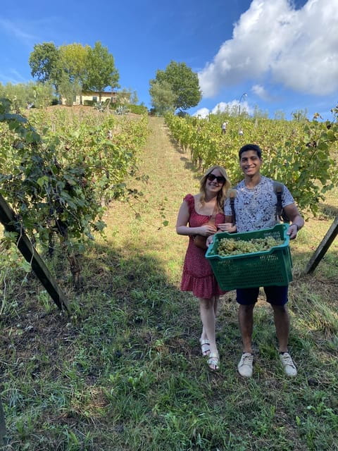Tuscan Wine Tour by van from Lucca - A Detailed Look at the Tuscan Wine Tour from Lucca
