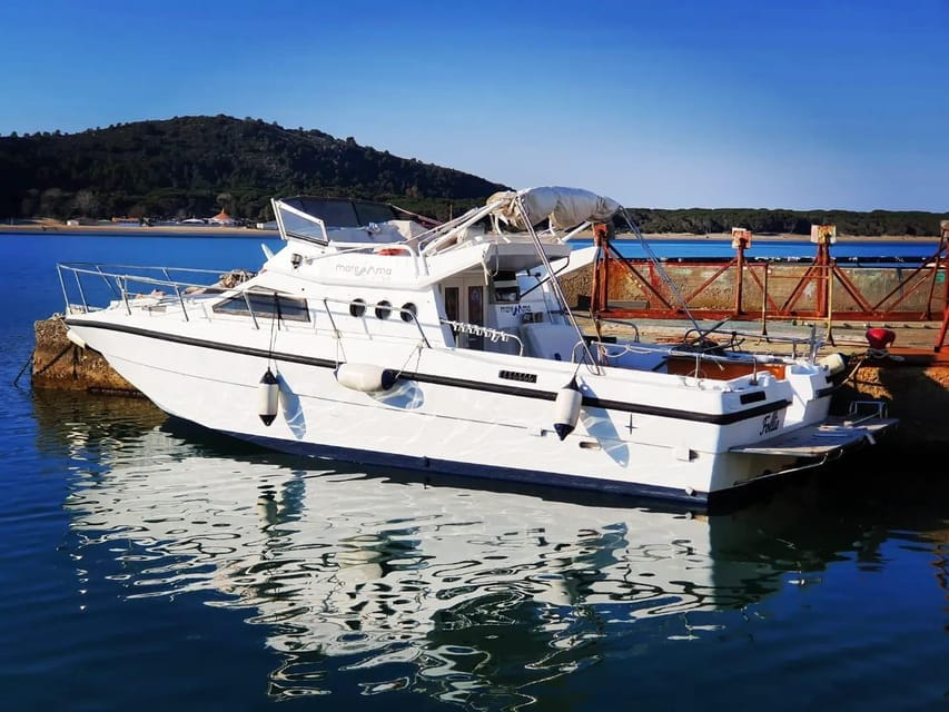 Tuscany: Argentario Coast Boat Excursion with Snorkeling - Marine Life and Natural Beauty: What You’ll See