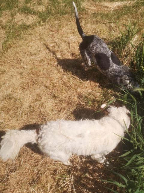 Tuscany Crete Senesi : Truffle Hunting Tour - What to Expect During the Tour