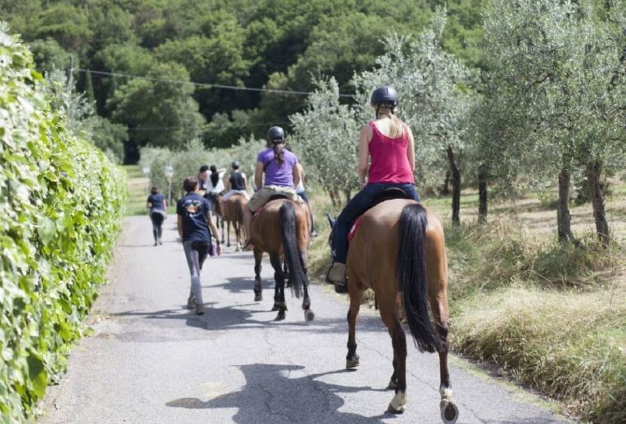 Tuscany: Horseback Riding Adventure with Lunch in a Winery - The Winery and Lunch Experience