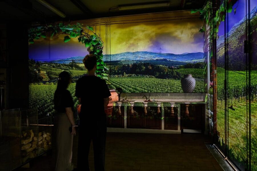 Tuscany: Immersive Winery + tasting (4 wines) - Overall Value and Final Thoughts