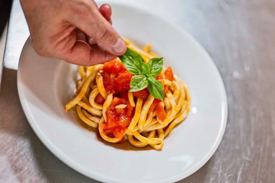 Tuscany: Pici Pasta Cooking Class with Farm Tour & Lunch - Practical Details and Logistics