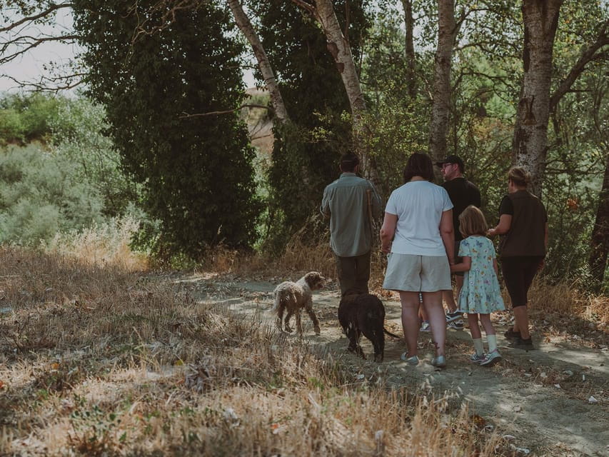 Tuscany: Volterra Truffle Hunting Experience - A Hands-On Taste of Tuscany’s Forests