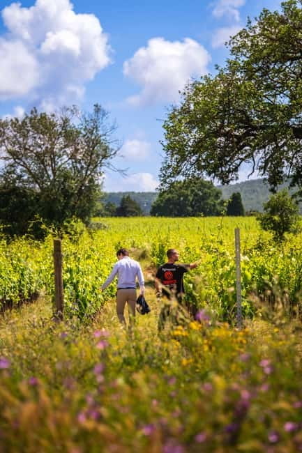 Tuscany: Wine Tasting Experience - The Tour: What You Can Expect from Start to Finish