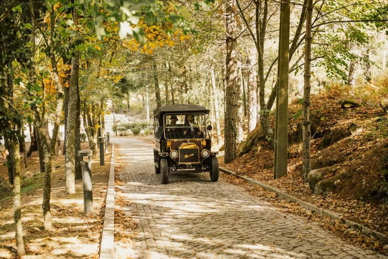 Two days to visit Fall Foliage in Douro Valley - Exploring the Douro Valley in Detail