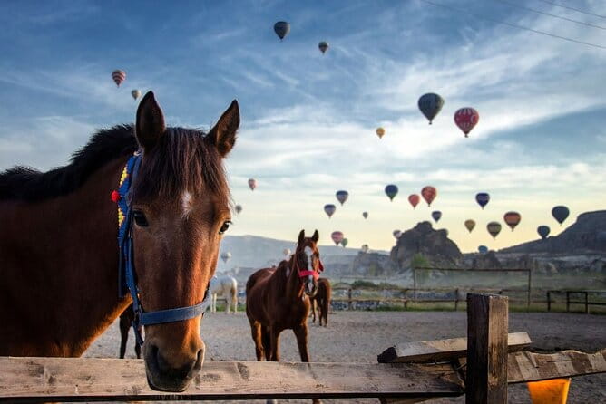 Two Days Tour to Cappadocia with HB Hotel & Transfer from Alanya - What This Tour Means for You