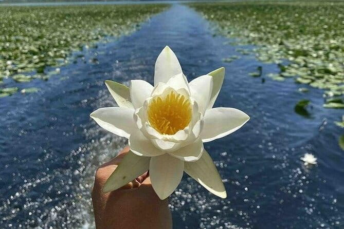 Two Hours Sightseeing Lake Cruise at Montenegro National Park - Price and Value