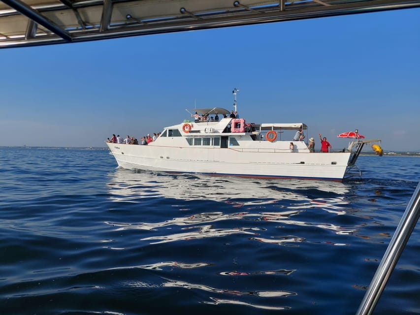 UMAG: Swimming&Panorama / Welcome Drink and Dolphin spotting - The Return and Final Thoughts