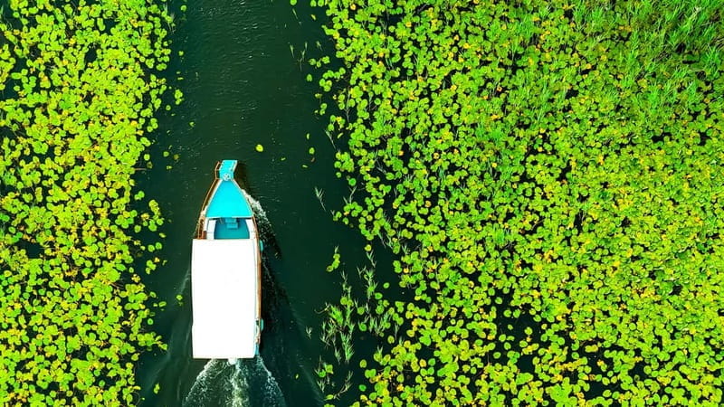 Unforgettable Adventure: Discover SKADAR LAKE - Guided Tour - The Sum Up: Is This Tour Worth It?