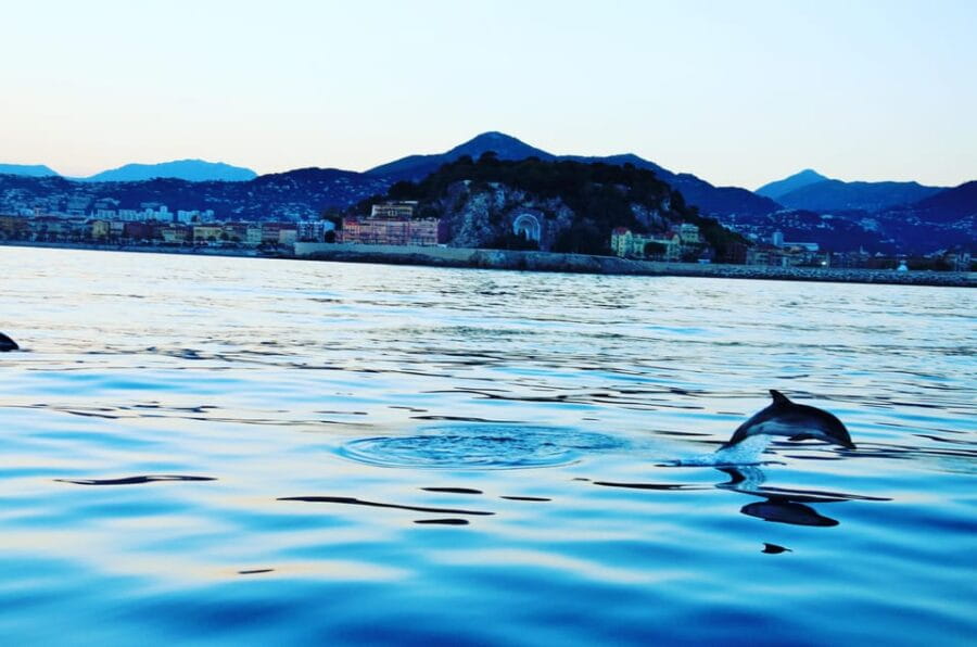 unforgettable boat excursion - Key Points / Takeaways