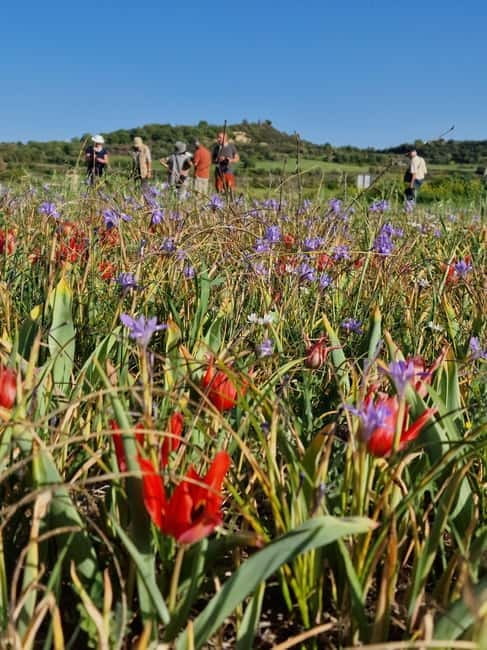 Unforgettable day on safari from Paphos to the Troodos mountains - Value and Practical Tips