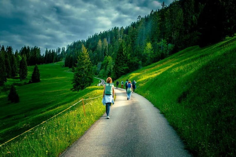 Unterseen: Alpine Cheese Farm Visit & Cheesemaking - Entering the Swiss Alps: A Scenic Drive and Short Hike