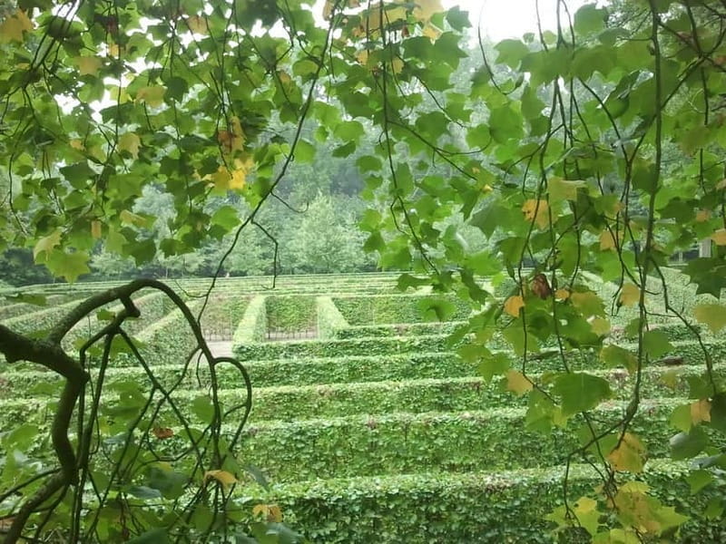 Utrecht: De Haar Castle, Park Entry Ticket - What Visitors Say: Authentic Perspectives