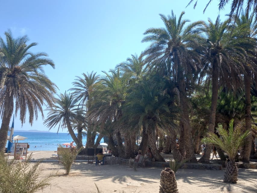 Vai Palm Beach Full Day Private Tour - What Makes This Tour Special: An In-Depth Look