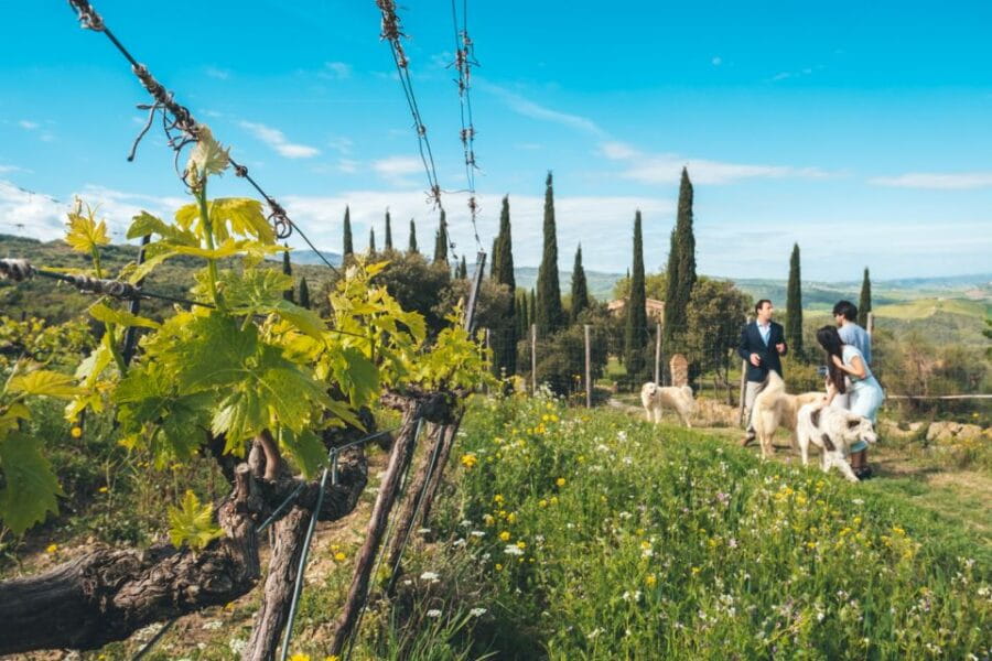 Val d'Orcia: Wine and Food Tasting at a Podere - Why This Tour Offers Real Value
