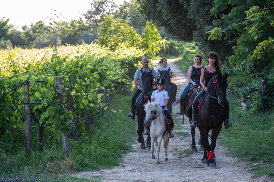 Valdichiana: Horseback Riding Tour with Tuscan Picnic - Why Choose This Experience?