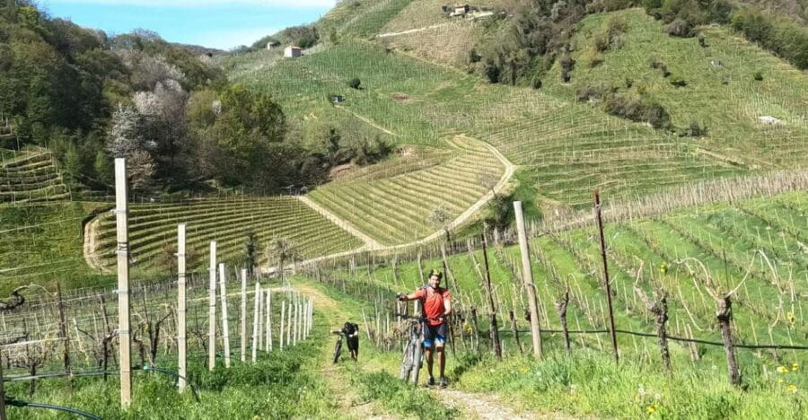 Valdobbiadene - Prosecco Hills Cycling with Sommelier - Price and Value Assessment