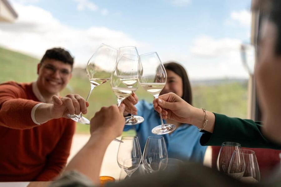 Valdobbiadene: Prosecco tasting with winery & vineyard tour - Who Would Love This?